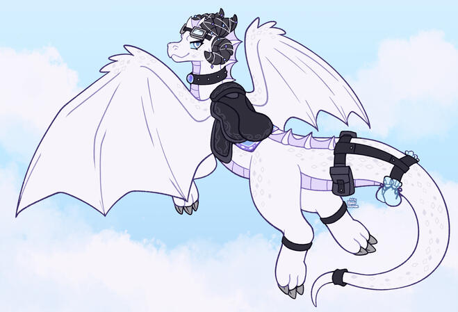lined w/ style b